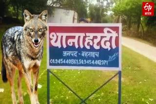 ETV Bharat