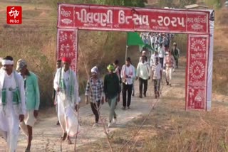 પીલવણી ઉત્સવ
