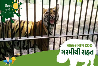 સક્કરબાગ ઝૂના પ્રાણીઓ માટે કરાઈ ઠંડકની વ્યવસ્થા