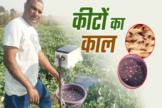 SHAHDOL SOLAR LIGHT TRAP MACHINE