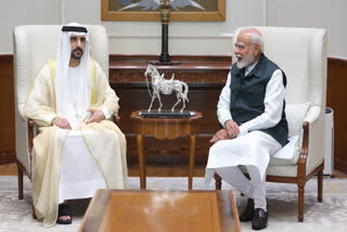 Prime Minister Narendra Modi meeting with Crown Prince of Dubai, Sheikh Hamdan bin Mohammed bin Rashid Al Maktoum, in New Delhi