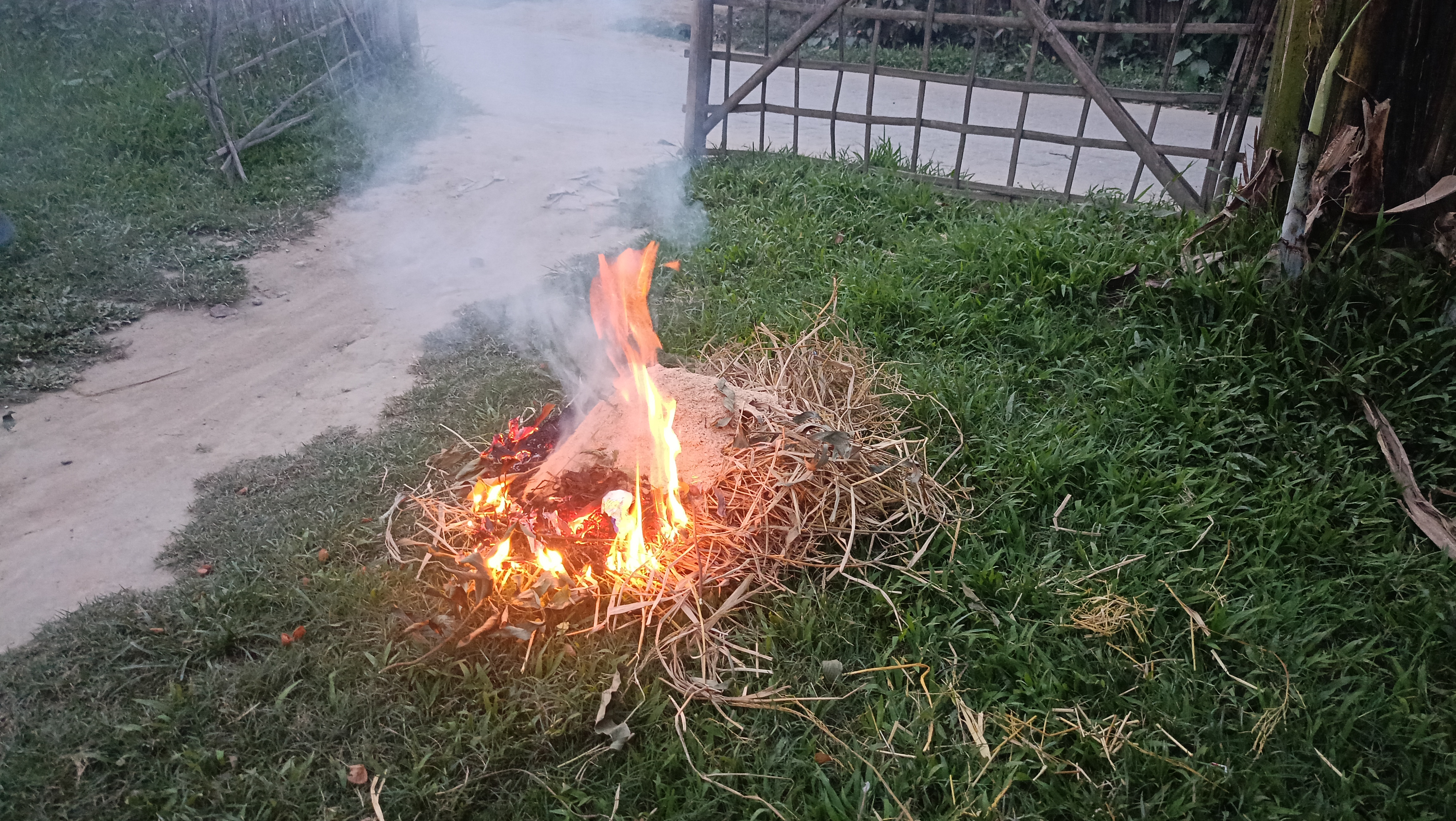 Bohag Bihu traditions