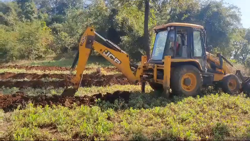 જંગલમાં અવૈધ ખેતી