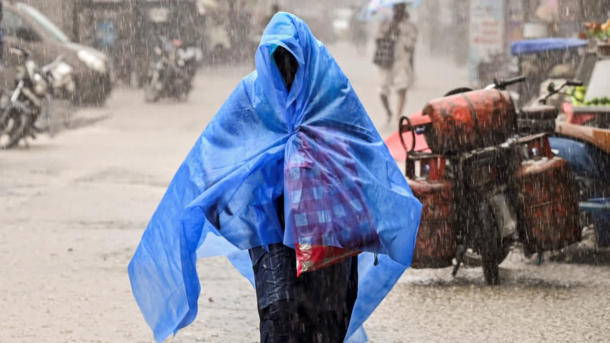 India To Experience Above-Normal Rainfall This Monsoon: IMD