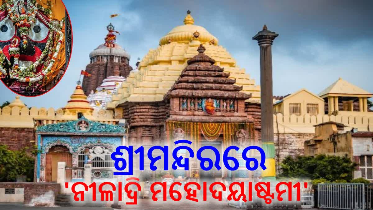 ଆଜି ନୀଳାଦ୍ରି ମହୋଦୟାଷ୍ଟମୀ, ଶ୍ରୀମନ୍ଦିର ପ୍ରତିଷ୍ଠା ଦିବସକୁ ନେଇ ଉତ୍ସବ ମୁଖରିତ ପୁରୀ