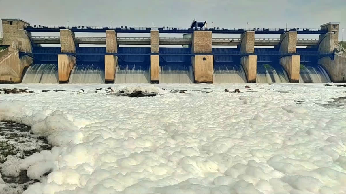 Foamy water coming out of the Kelavarapalli Dam