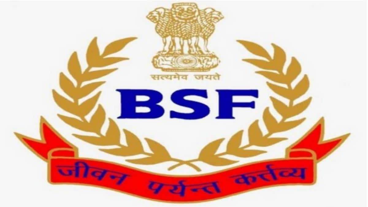 BSF Recruitment