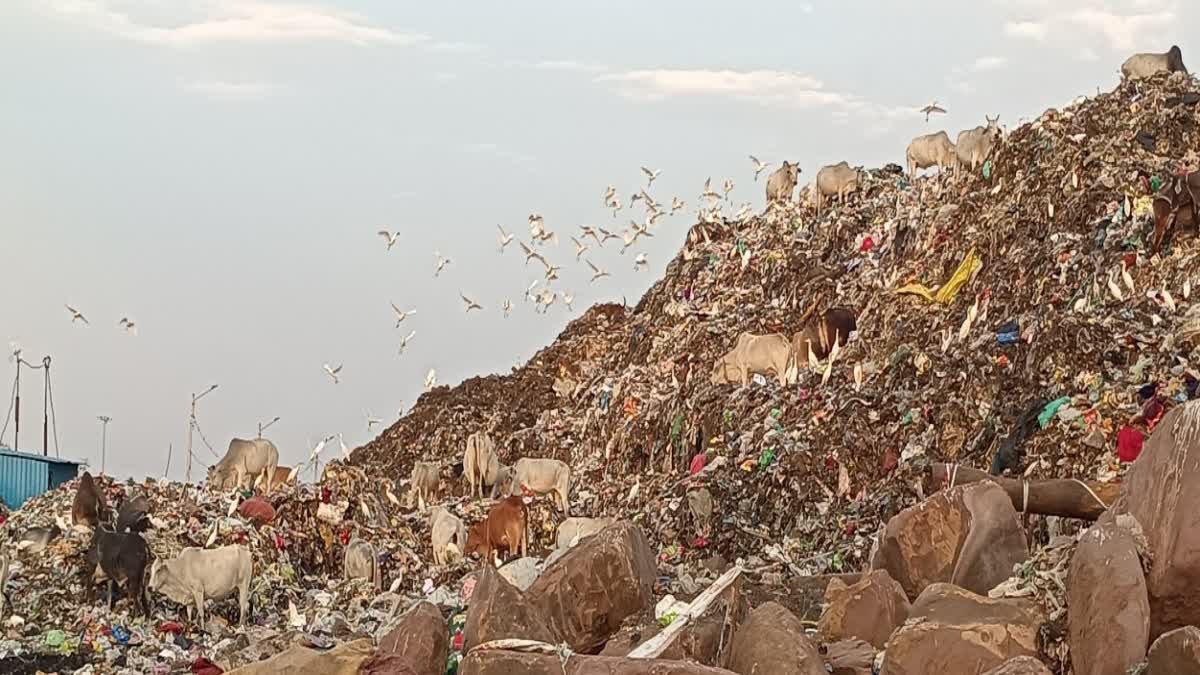 BHOPAL FUEL MADE FROM WET DRY WASTE