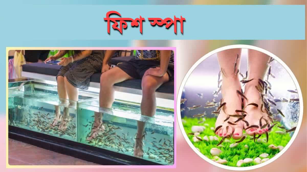 Fish Spa