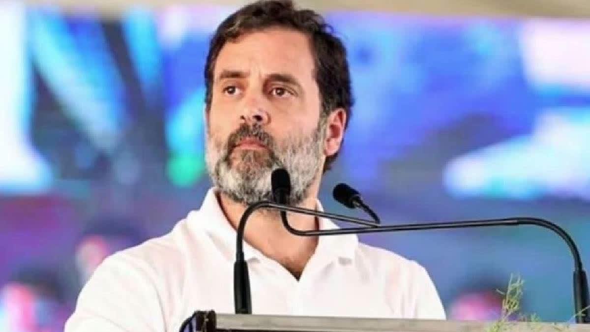 BJP Wants To Tear Apart Constitution But People Won't Allow: Rahul Gandhi