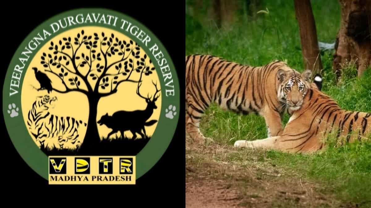 TIGER RESERVE SAFARI AT LOW COST