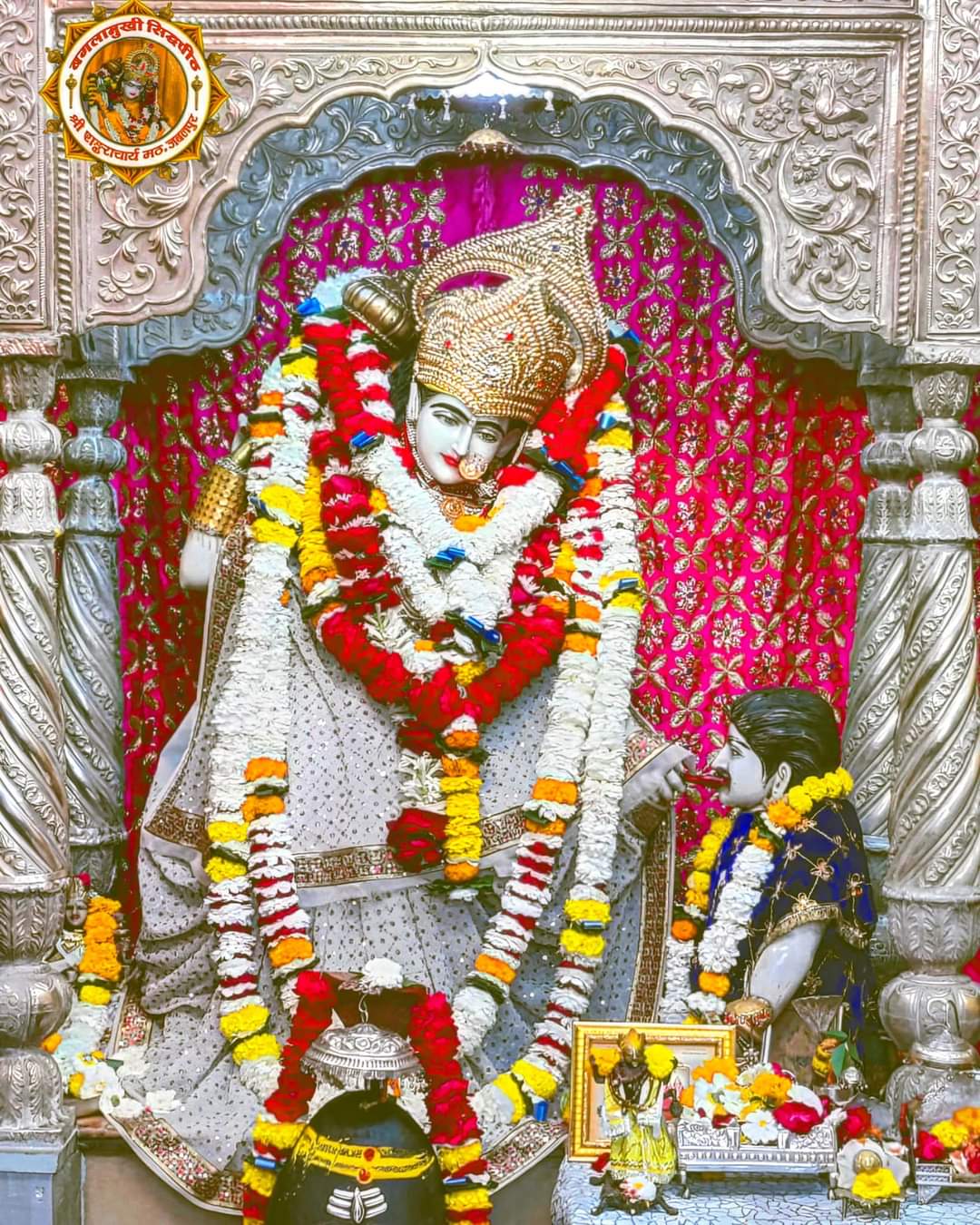 ma pitambara devi baglamukhi jayanti pitambara devi praktotsav