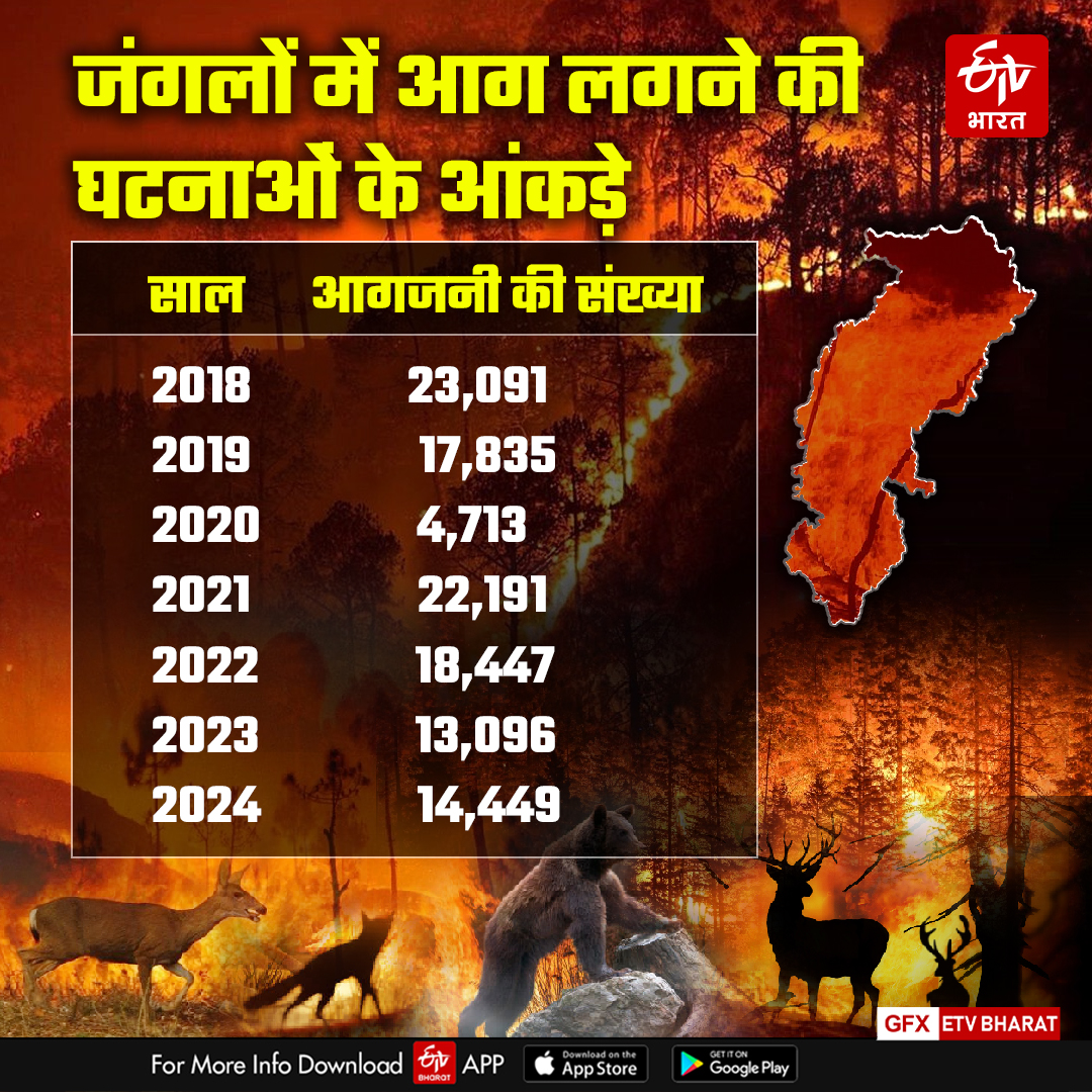 FOREST FIRE CASE INCREASE