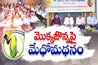 National Maize Conference in Hyderabad
