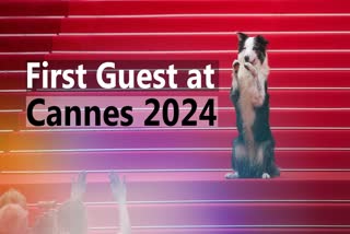 Cannes Film Festival 2024 Red Carpet