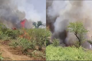 Massive bush fire in Alwar
