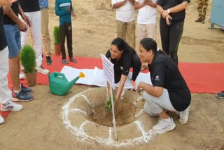 Plantation by CISF in Jaipur