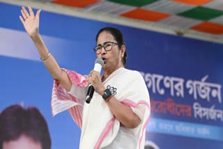 WEST BENGAL CM MAMATA BANERJEE