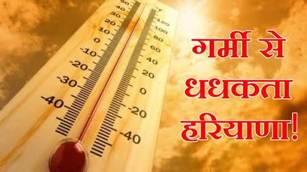 Heat Wave in Haryana