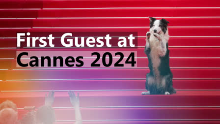 CANNES FILM FESTIVAL 2024  MESSI THE DOG COMES TO CANNES  ANATOMY OF A FALL DOG AT CANNES  ANATOMY OF A FALL