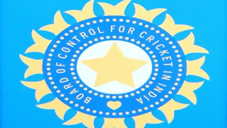 Team India Head Coach Form