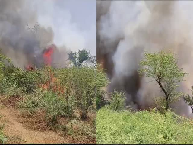 अलवर में झाड़ियों में लगी भीषण आग, काबू पाने का प्रयास जारी - Massive ...