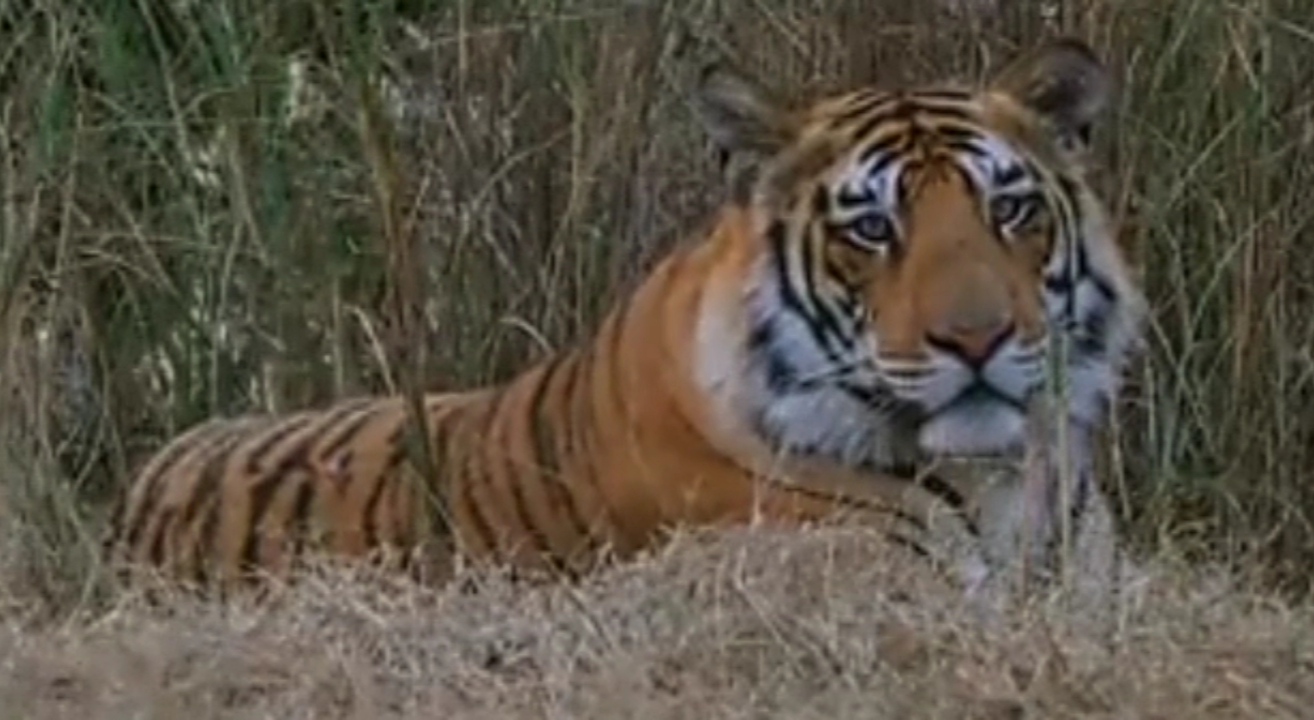 Veerangana Durgavati Tiger Reserve