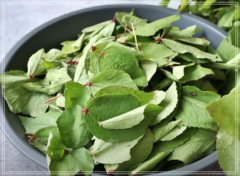 Gongura Karam Podi at Home