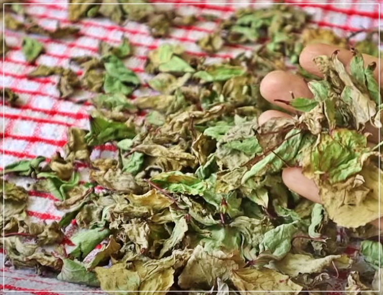 How to Make Gongura Karam Podi