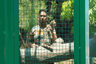 wildlife conservation in India