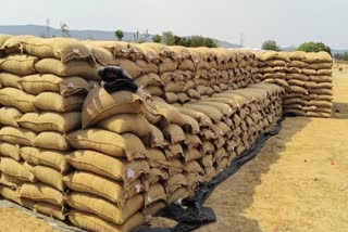 NO MSP PAYMENT TO MAIHAR FARMERS