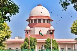 Vijay Shah case hearing SC