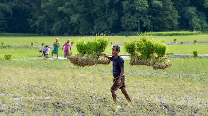 PM Kisan Samman Nidhi