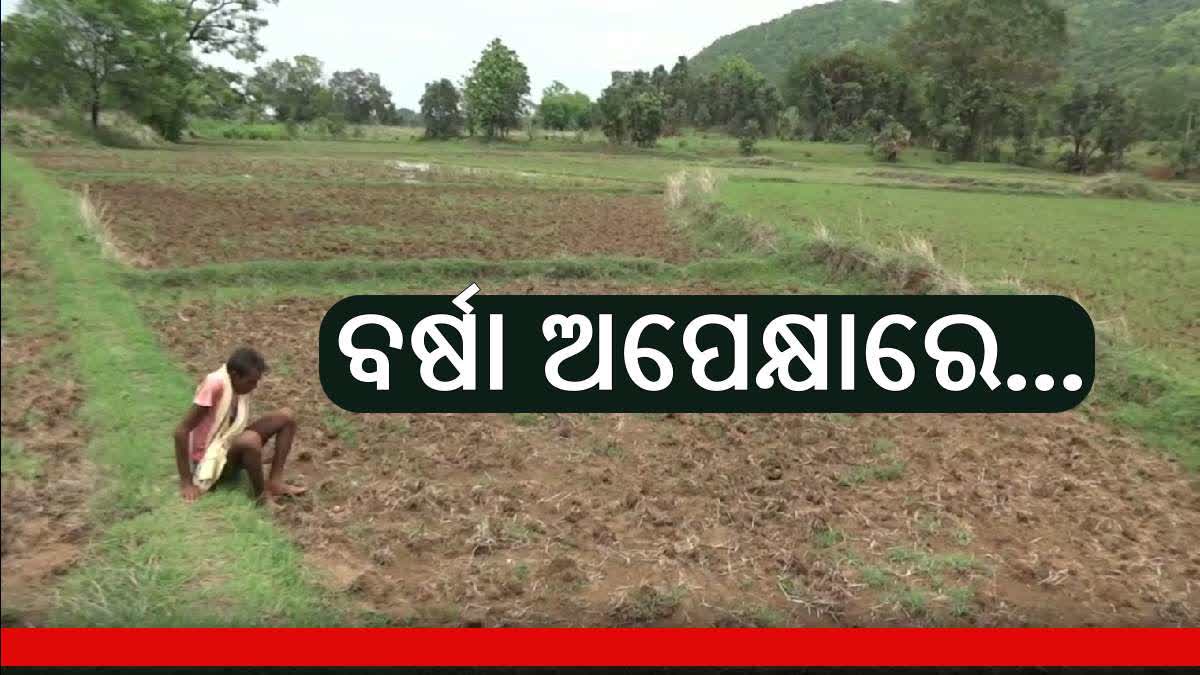 Balangir farmers tension