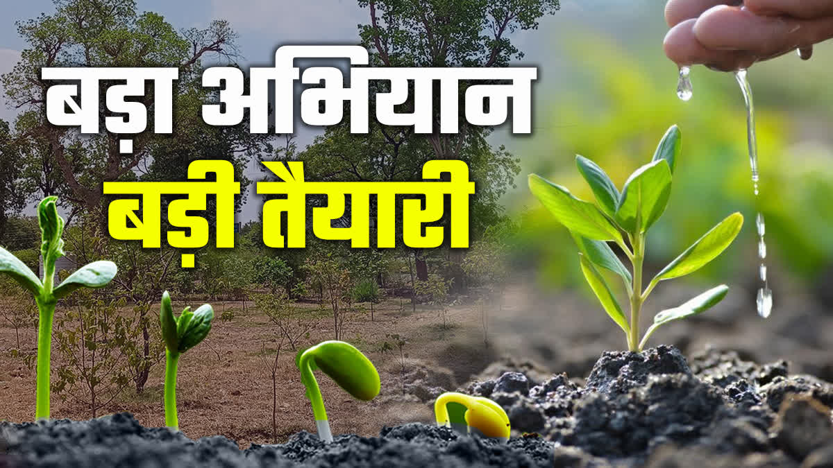 MADHYA PRADESH PLANTATION CAMPAIGN