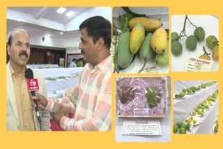 NATIONAL MANGO FESTIVAL