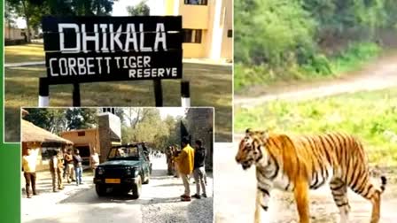 Dhikala zone of Jim Corbett National Park closed in view of monsoon season