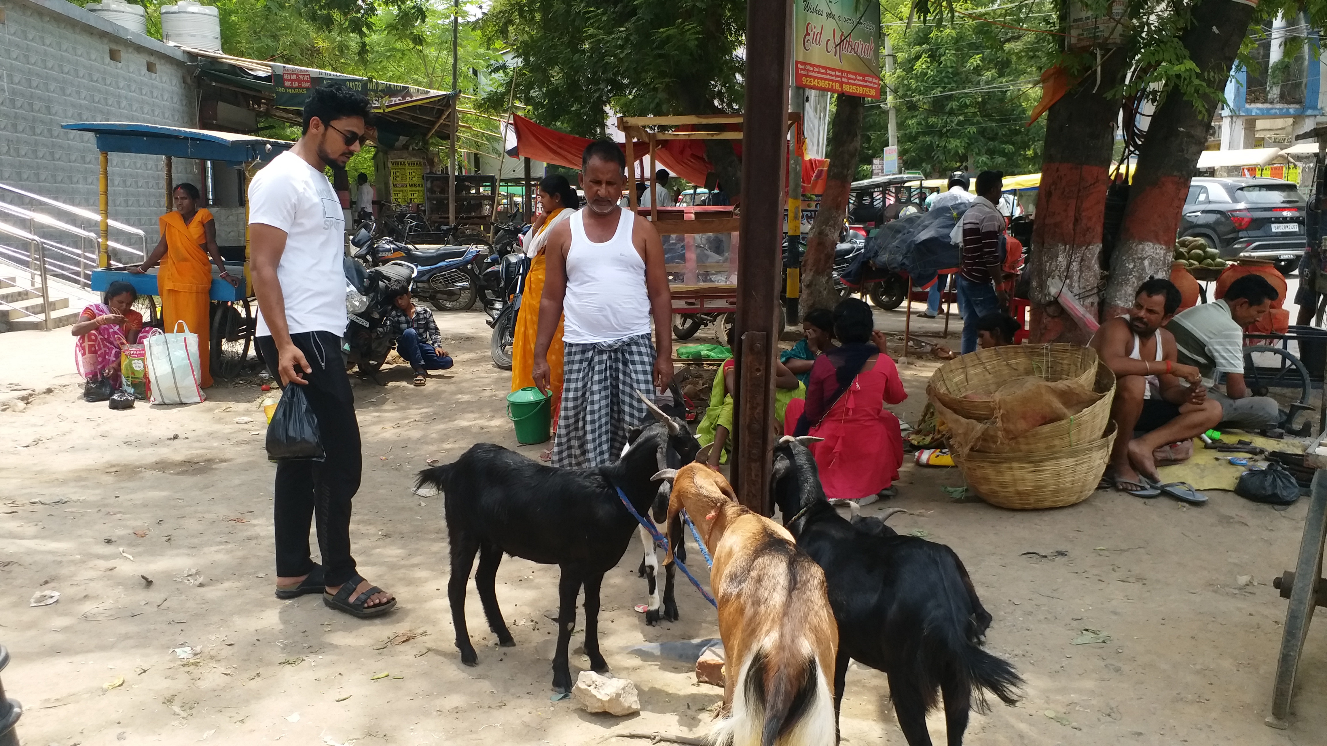 Goat market in Gaya damaged due to heat wave, very less crowd of buyers