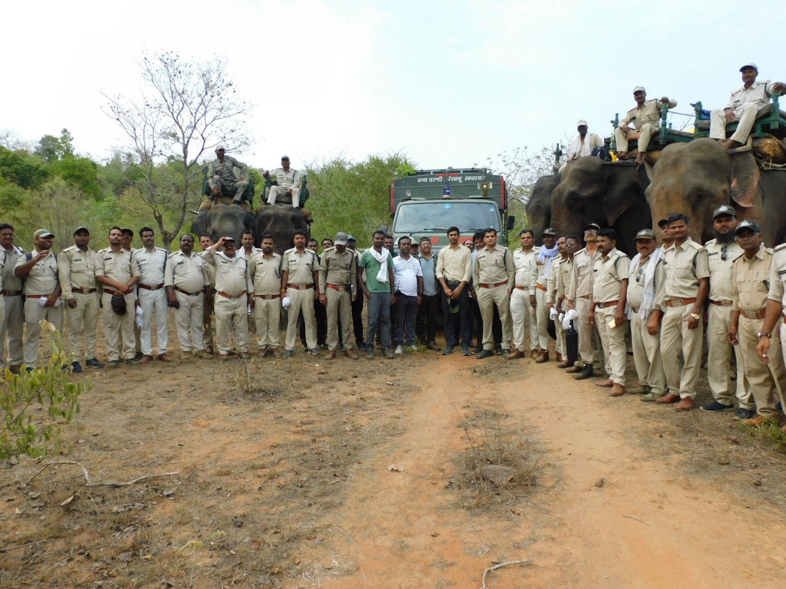 Tiger released in Satpura forests