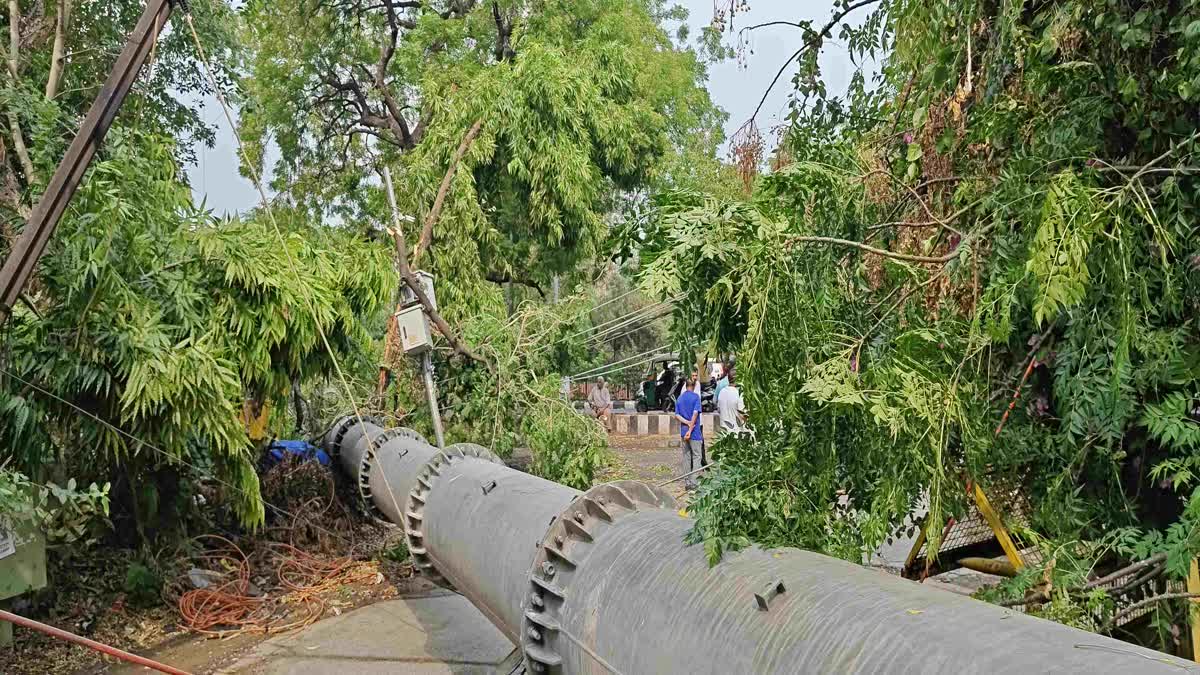 Delhi: 100-Feet-Tall Mobile Tower Collapses In Safdarjung Enclave In ...