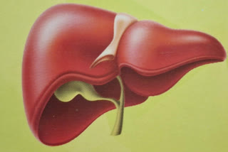 Prevent the liver from becoming fatty