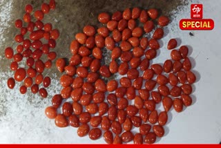 लाल मूंगा