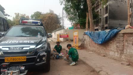बेजुबानों को खाना खिलाते एनिमल लवर