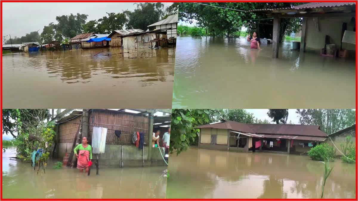 Assam flood news