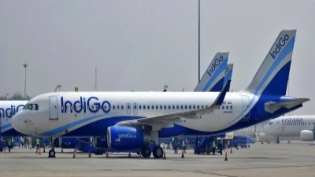 unruly-passenger-alert-man-opens-emergency-exit-cover-during-indigo-flight