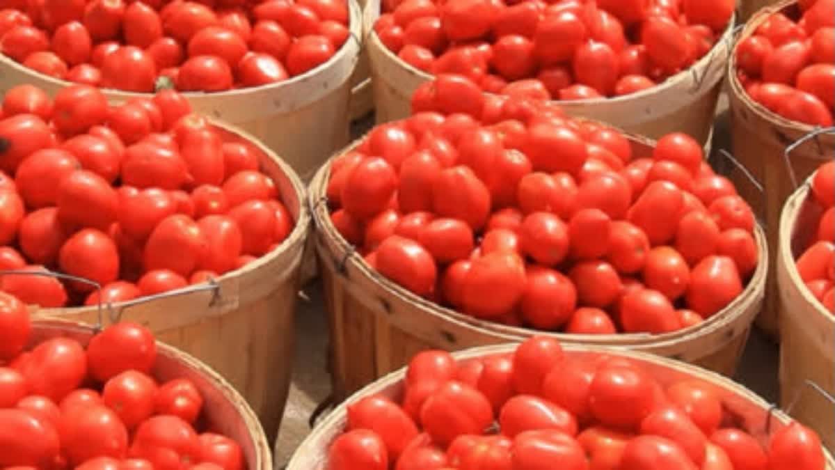 Tomato Price Hike