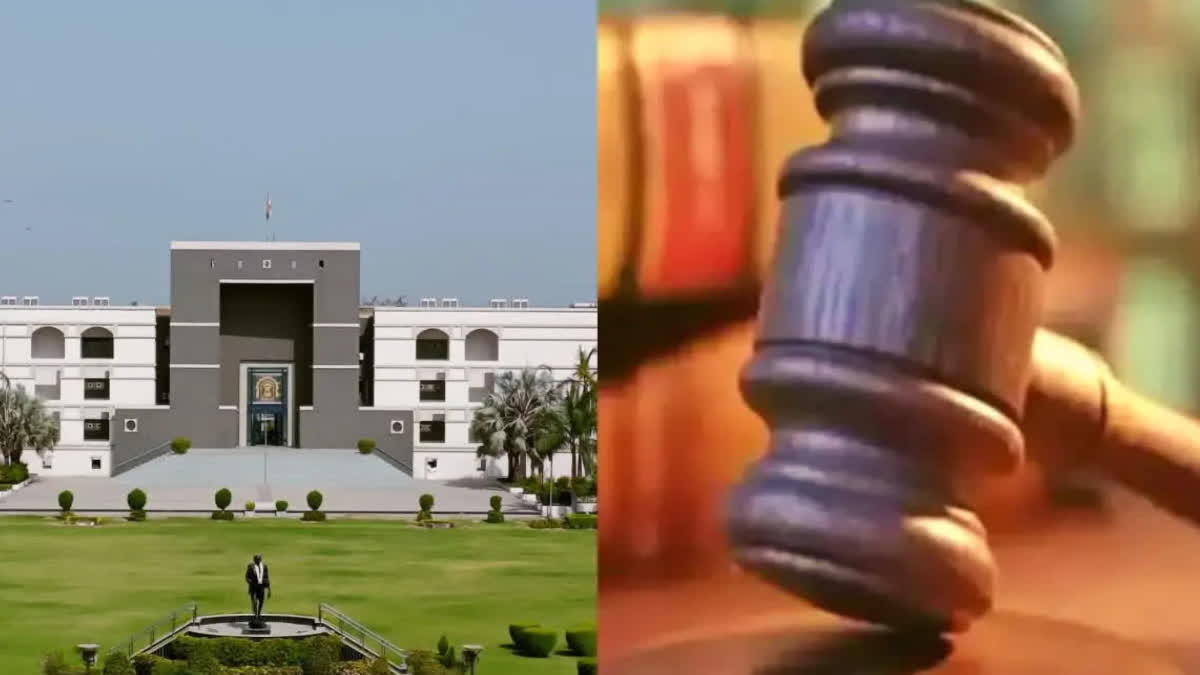 Gujarat High Court ETV BHARAT