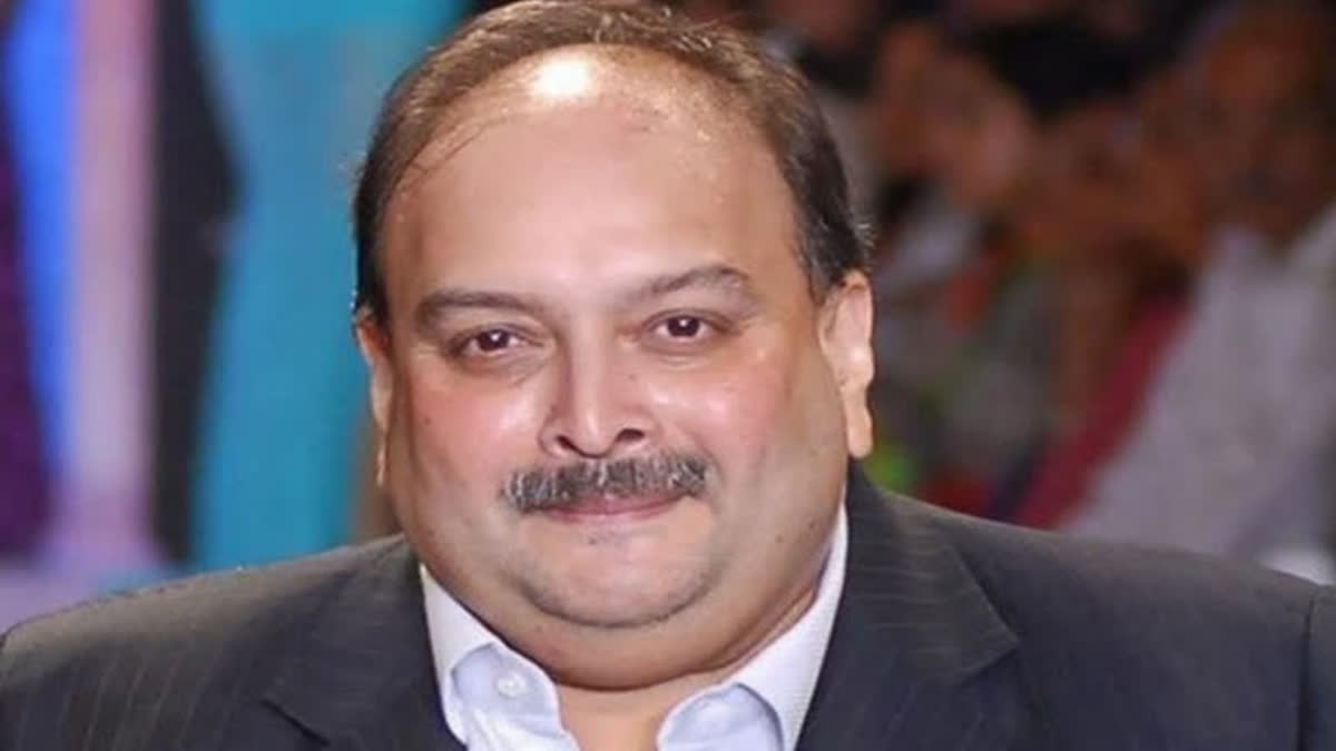 A special CBI court here on Saturday set aside a magistrate's order taking of cognisance of the chargesheet filed against fugitive diamantaire Mehul Choksi in a loan fraud case amounting to more than Rs 22 crore.