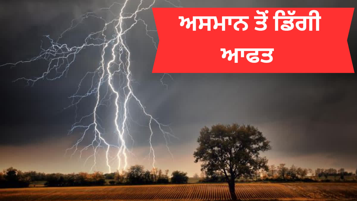 Lightning Strikes In Bihar