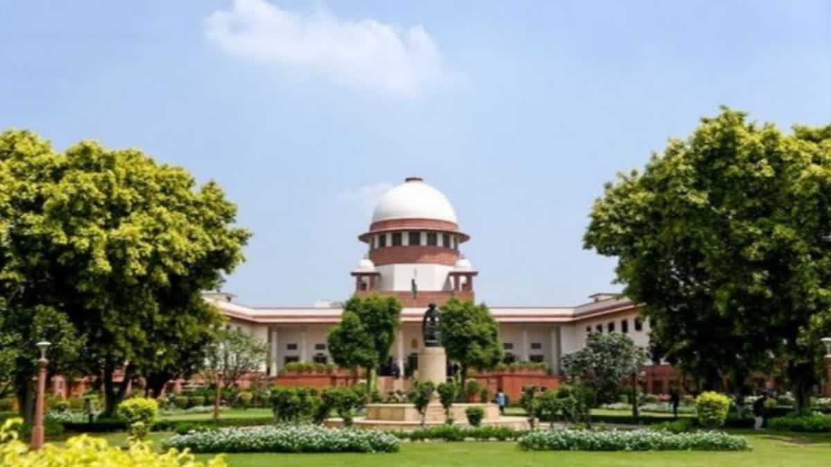 SC COLLEGIUM